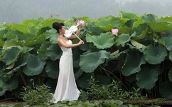 日本一卡二卡三卡四卡无卡免费网站